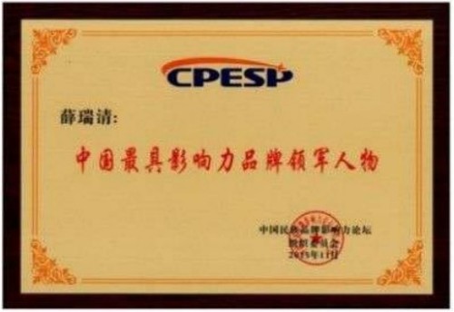 全国两会特别报道 中国优秀创新企业家 高分子桥架创始人——薛瑞清